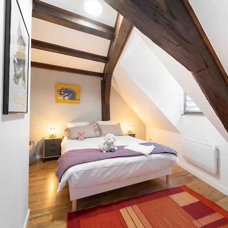 Les Lionceaux, 120M2 A Colmar, Place De Parking Gratuite Zewnętrze zdjęcie