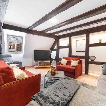 Les Lionceaux, 120M2 A Colmar, Place De Parking Gratuite Zewnętrze zdjęcie