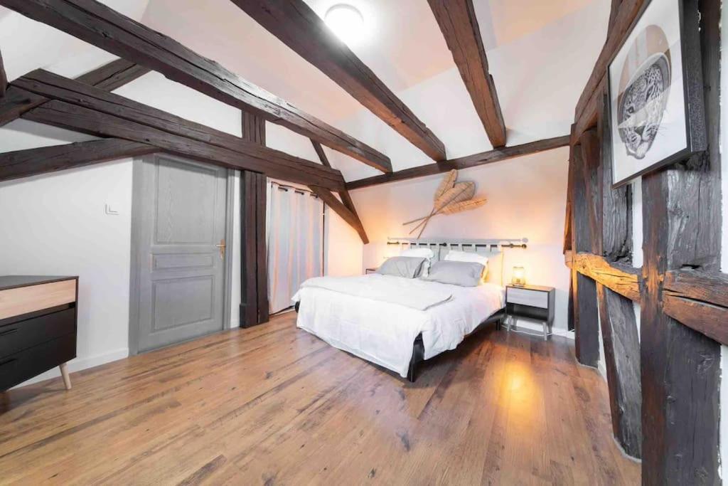 Les Lionceaux, 120M2 A Colmar, Place De Parking Gratuite Zewnętrze zdjęcie