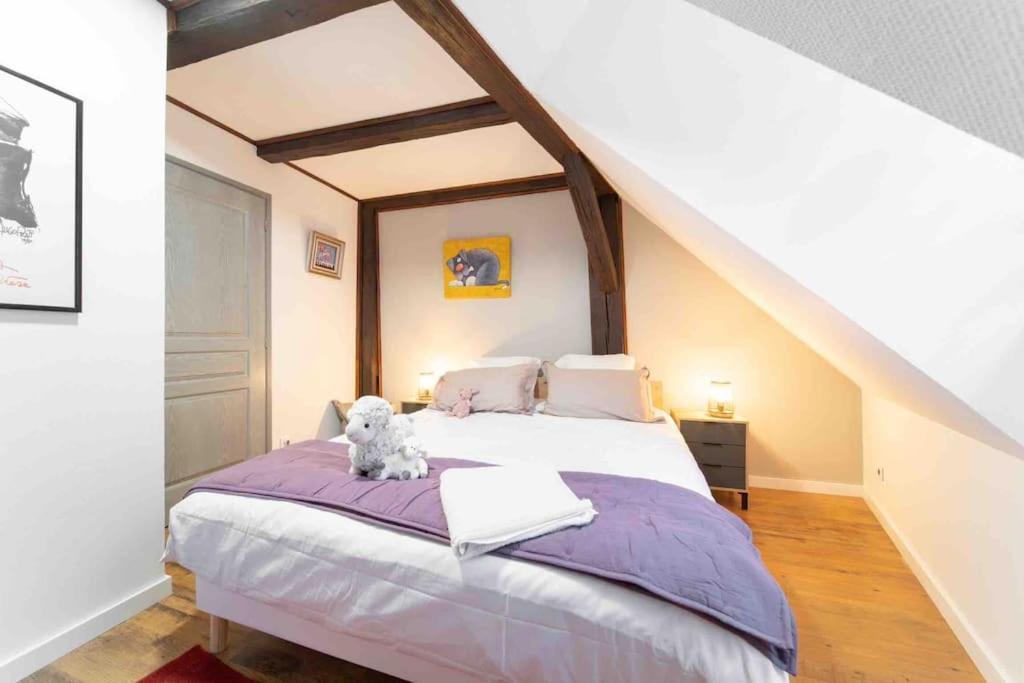 Les Lionceaux, 120M2 A Colmar, Place De Parking Gratuite Zewnętrze zdjęcie
