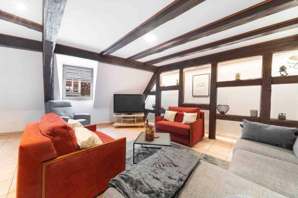 Les Lionceaux, 120M2 A Colmar, Place De Parking Gratuite Zewnętrze zdjęcie