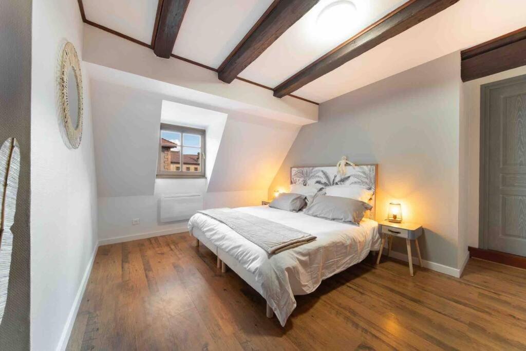Les Lionceaux, 120M2 A Colmar, Place De Parking Gratuite Zewnętrze zdjęcie