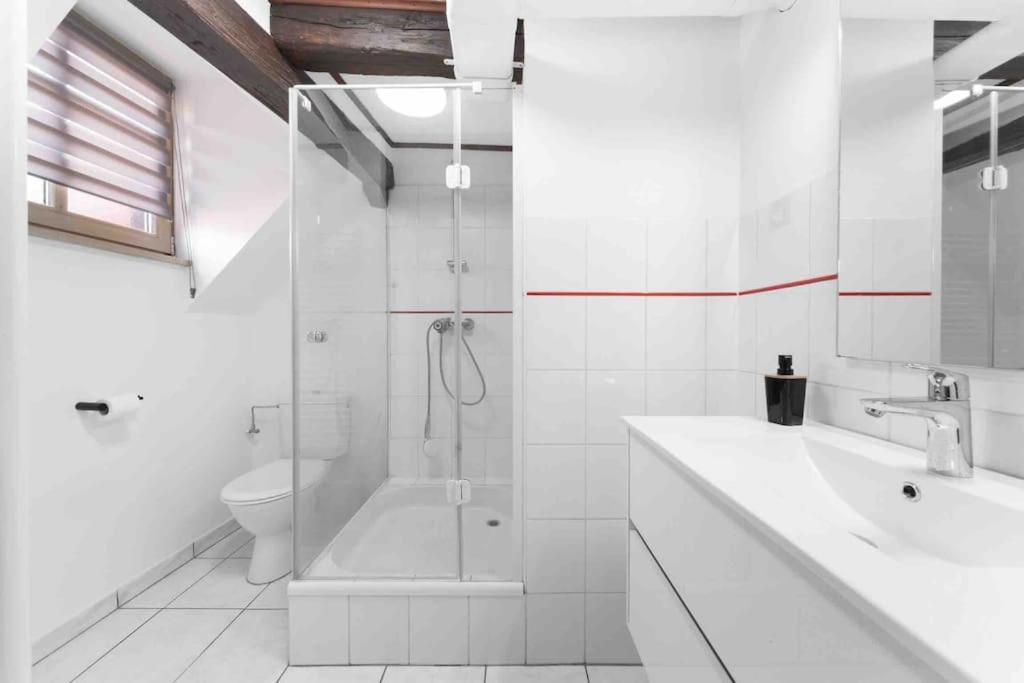 Les Lionceaux, 120M2 A Colmar, Place De Parking Gratuite Zewnętrze zdjęcie